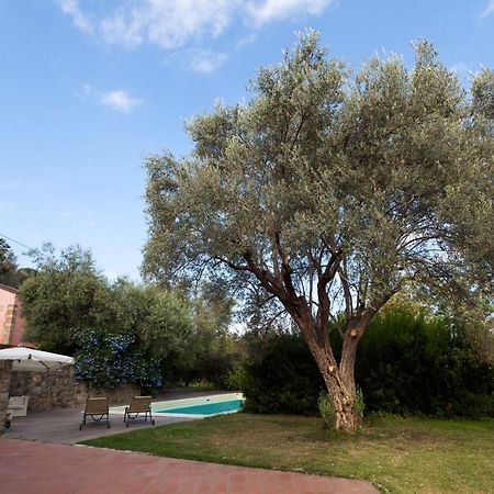 Agricontura Konuk evi Capri Leone Dış mekan fotoğraf