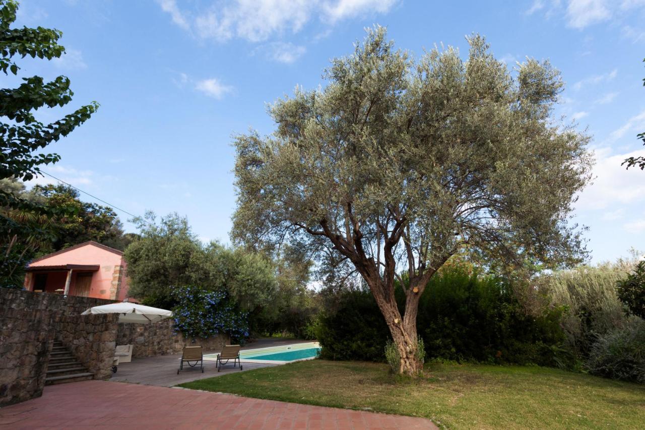 Agricontura Konuk evi Capri Leone Dış mekan fotoğraf