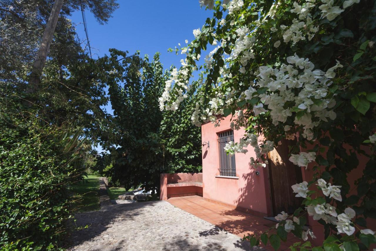 Agricontura Konuk evi Capri Leone Dış mekan fotoğraf