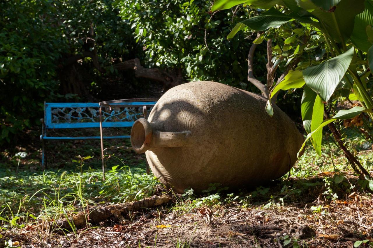 Agricontura Konuk evi Capri Leone Dış mekan fotoğraf
