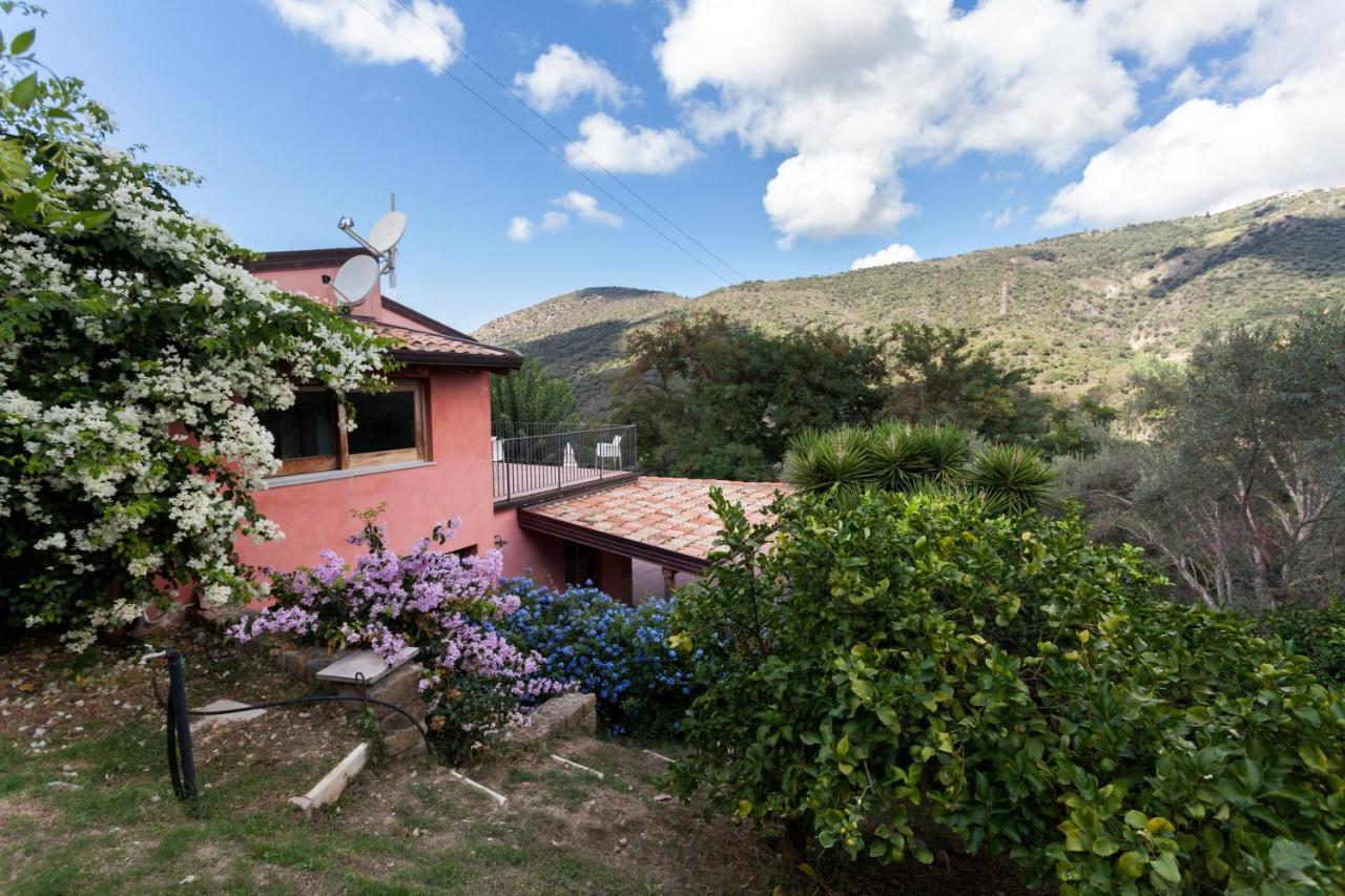 Agricontura Konuk evi Capri Leone Dış mekan fotoğraf