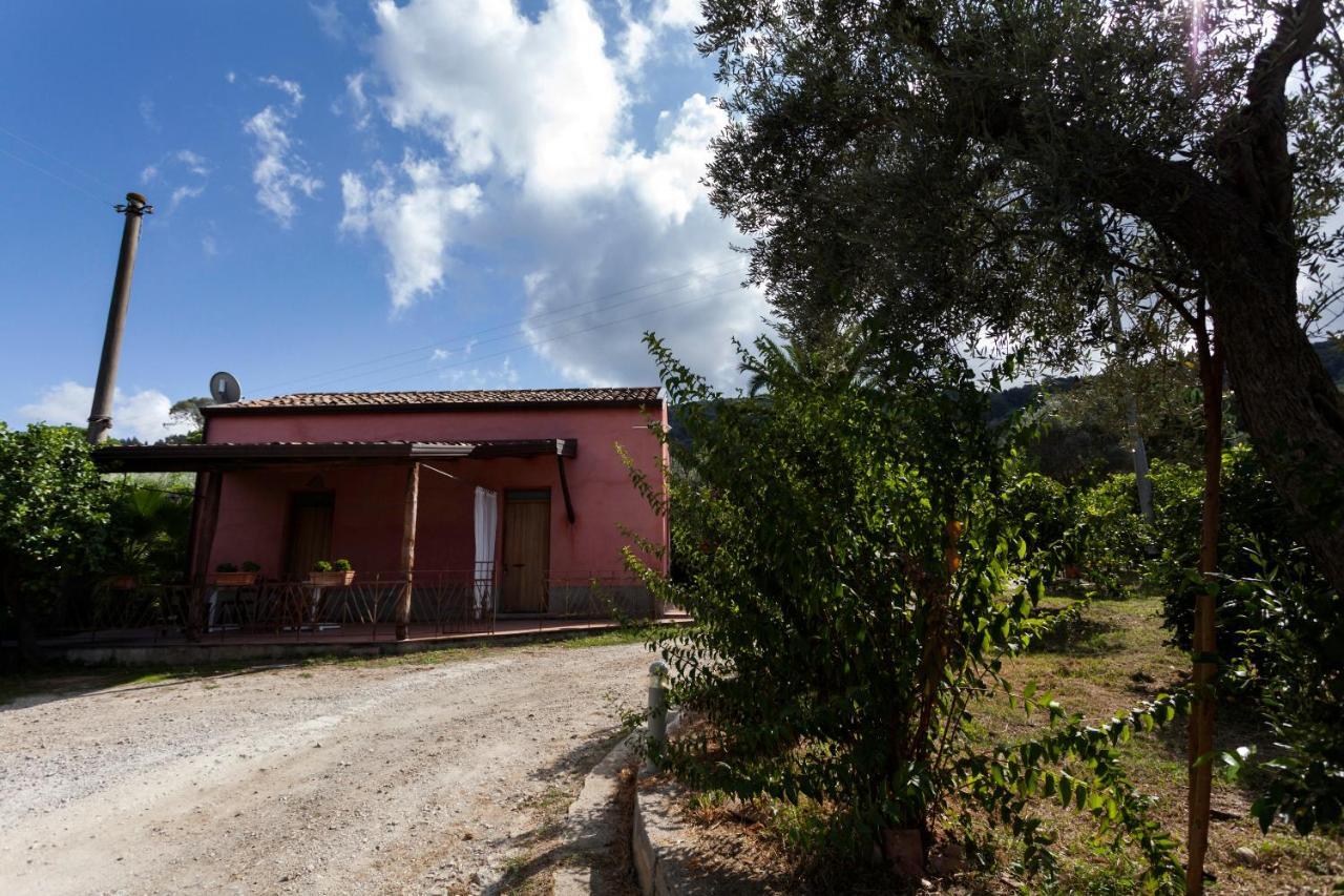 Agricontura Konuk evi Capri Leone Dış mekan fotoğraf