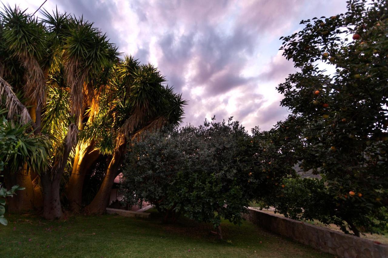 Agricontura Konuk evi Capri Leone Dış mekan fotoğraf