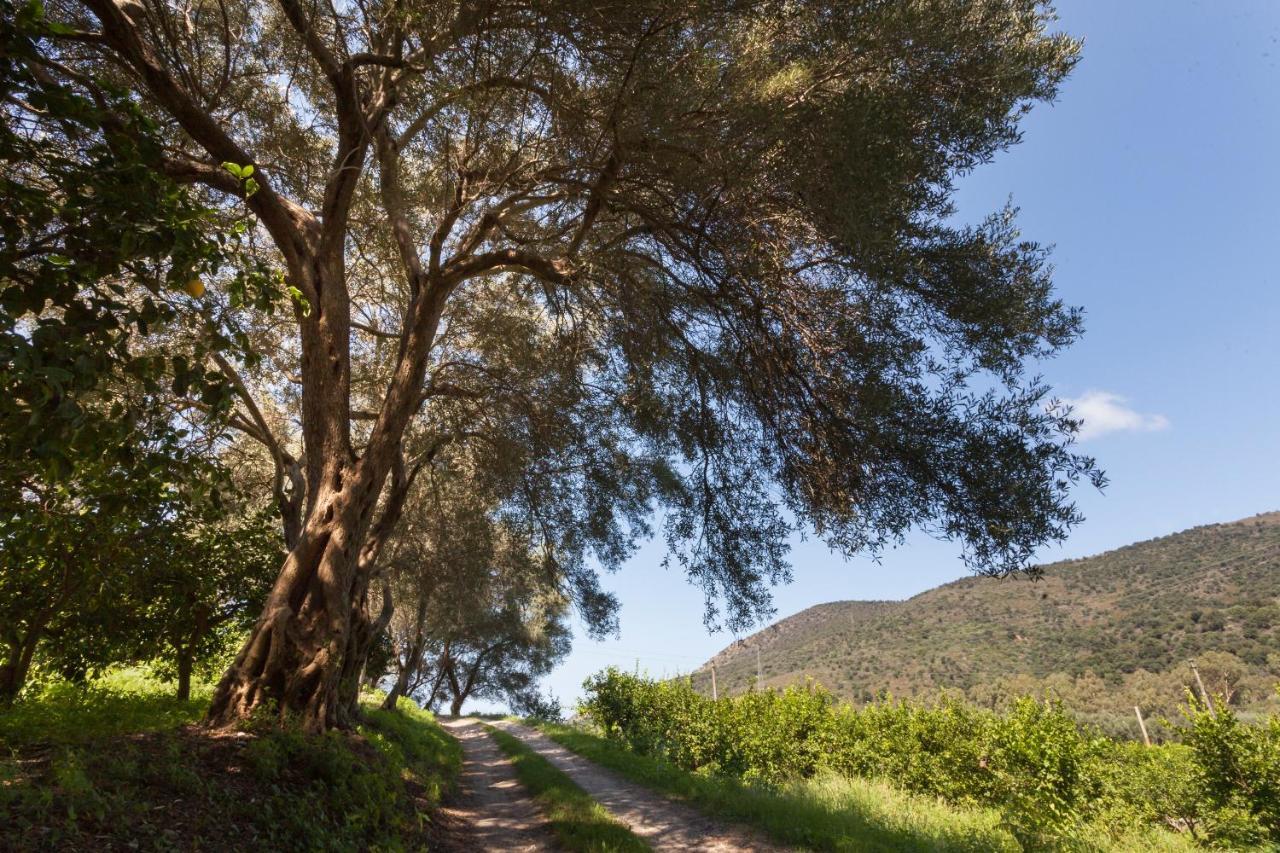 Agricontura Konuk evi Capri Leone Dış mekan fotoğraf